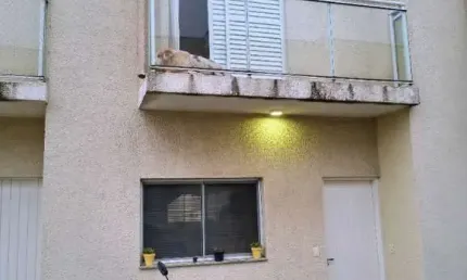 Casa com 2 quartos à venda no jardim amoreiras, campinas  por r$ 379.900