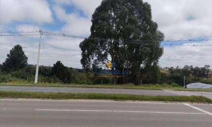 Terreno à venda, 4360 m² por R$ 1.800.000,00 - Atuba - Curitiba/PR