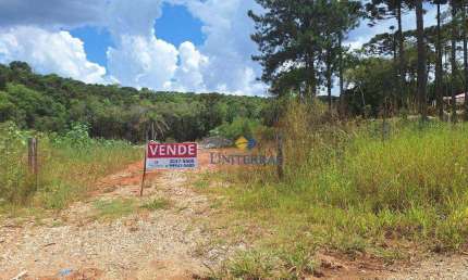 Chácara à venda, 4000 m² por R$ 235.000,00 - São Dimas - Colombo/PR