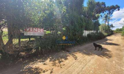 Terreno à venda, 300 m² por R$ 145.000 - São Gabriel - Colombo/PR