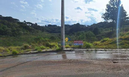 Terreno à venda, 575 m² por R$ 270.000,00 - Centro - Campina Grande do Sul/PR