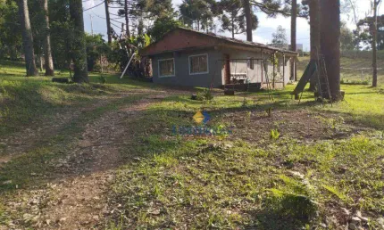 Chácara com 3 dormitórios à venda, 1000 m² por R$ 180.000,00 - Saltinho - Campina Grande do Sul/PR