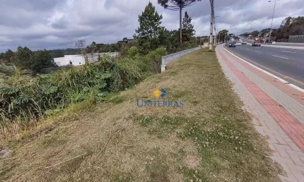Terreno à venda, 7862 m² por R$ 5.000.000,00 - Parque do Embu - Colombo/PR