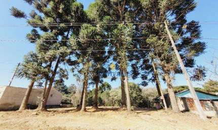 Terreno à venda, 182 m² por R$ 99.000,00 - Parque do Embu - Colombo/PR
