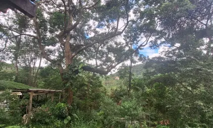 Terreno à venda no Vale das Videiras, Petrópolis 