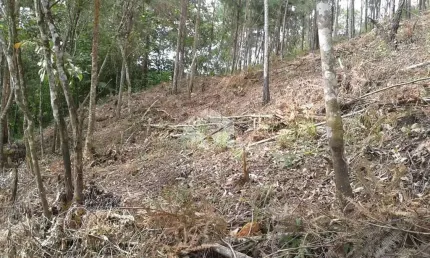 Terreno à venda, 1121 m² por R$ 100.000,00 - Portal das Colinas - Mairiporã/SP
