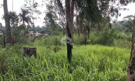 Terreno à venda, 5002 m² por R$ 250.000 - Cerros de Mairiporã - Mairiporã/SP