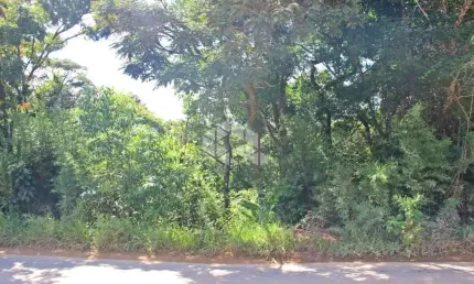 Terreno à venda, 600 m² por r$ 75.000 - nascente do sol - mairiporã/sp