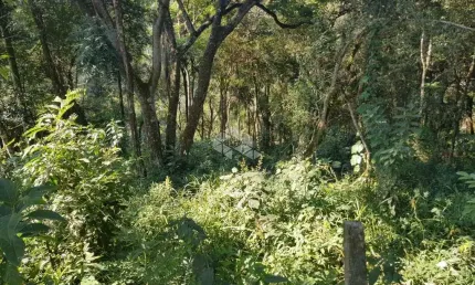 Terreno com 2790 m² a venda por R$ 250.000,00 - Jardim Iporã - Mairiporã/SP