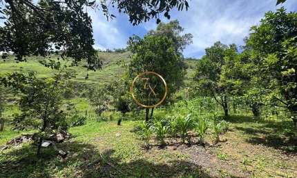 Fazenda à venda no Centro, Miguel Pereira 
