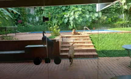 Casa com 4 quartos para alugar na Rua Luiz Galhanone, 329, Morumbi, São Paulo