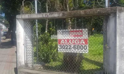 Terreno comercial para alugar na Avenida Luís Stamatis, 721, Vila Inglesa, São Paulo
