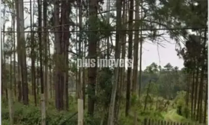 EMBU-GUAÇU - CIPÓ DO MEIO - TERRENO COM 54.330.12M²