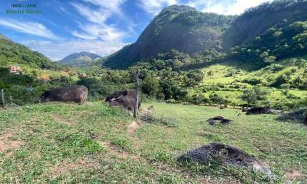 Apresentamos a você o terreno rural dos seus sonhos, localizado na encantadora comunidade de Cachoeirinha!