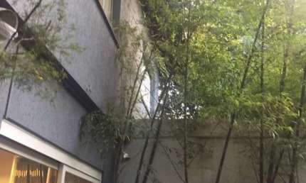 Casa comercial com 4 salas à venda no Jardim Paulistano, São Paulo 