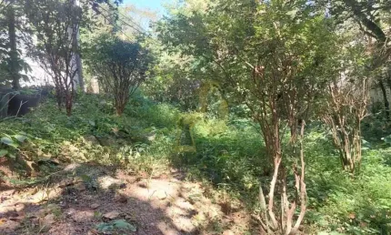 Terreno à venda na Vila Andrade, São Paulo 