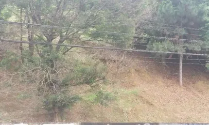 Terreno à venda no Parque São Domingos, São Paulo 