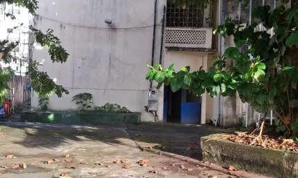 PREDIO COMERCIAL COM SALAS  PARA  ALUGAR- Av. Centenário - OPOTUNIDADE.i