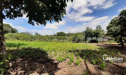 Terreno à venda, 2006 m² por R$ 394.900,00 - Portal do Santa Paula - Cotia/SP