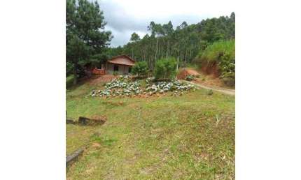 Fazenda com 1 sala à venda na Benedito Novo, S/N, Barra São João, Benedito Novo