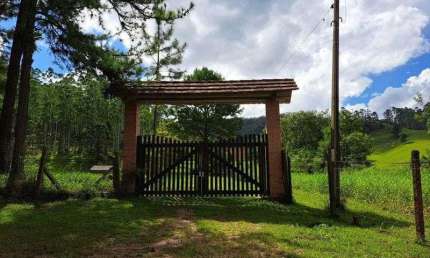 Fazenda com 1 sala à venda na Benedito Novo, Barra São João, Benedito Novo