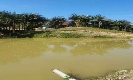 Fazenda à venda na Benedito Novo, Zona Rural, Benedito Novo