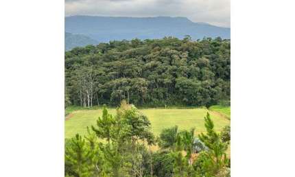 Terreno à venda na Ascurra, Tamanduá, Ascurra
