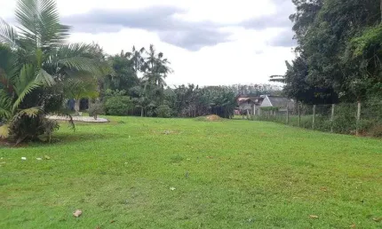 Terreno à venda na Rio Dos Cedros, Divinéia, Rio dos Cedros