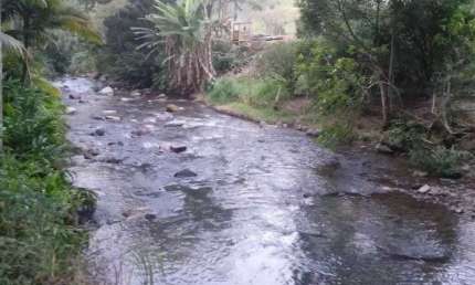 Fazenda com 1 sala à venda na Apiúna, Zona Rural, Apiúna