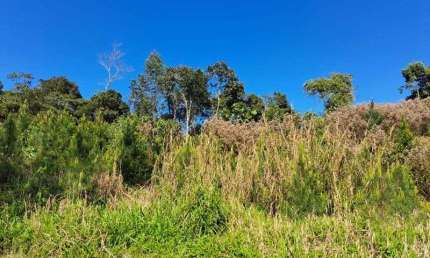 Fazenda à venda na Benedito Novo, Barra São João, Benedito Novo