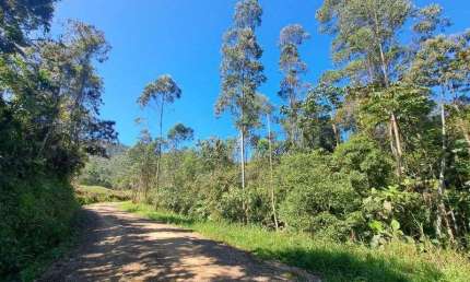 Fazenda à venda na Benedito Novo, S/N, Barra São João, Benedito Novo
