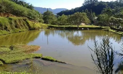 Fazenda à venda na Rio Dos Cedros, 680, Dolorata, Rio dos Cedros