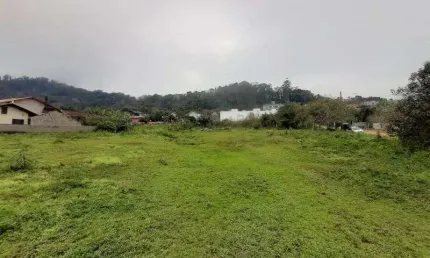 Terreno comercial para alugar na Timbó, Das Nações, Timbó