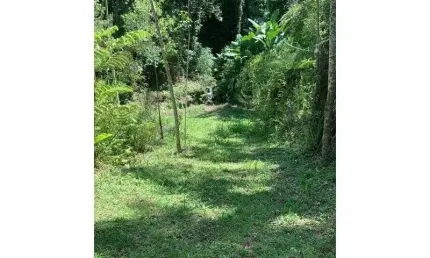 Fazenda à venda na Rio Dos Cedros, Zona Rural, Rio dos Cedros