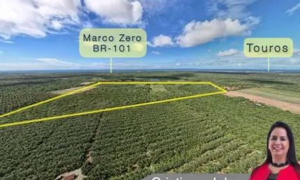 Fazenda à venda na Distrito de Cajueiro, 1, Zona Rural, Touros