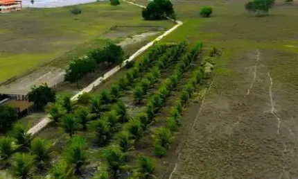 Fazenda à venda na Rn, 00, Centro, Brejinho