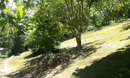 Terreno venda área total  866m² Mairiporã  Rua asfaltada
