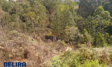Terrenos à Venda com Ótima Localização — Próximo ao Asfalto.