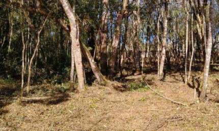 Terreno à venda na Alameda dos Eucaliptos, 957, Pirucaia, Mairiporã