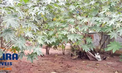 Terreno com Escritura em Bairro Tranquilo com Área Verde