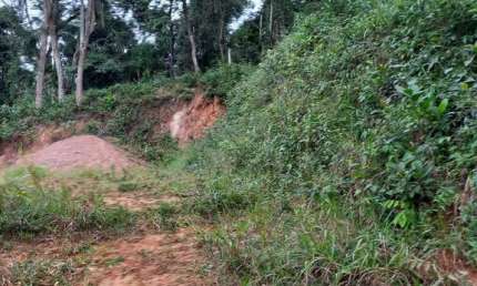 Terreno Pronto para Construir em Área Segura e Acessível