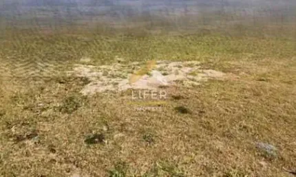 Terreno em condomínio fechado à venda na Rua das Palmas, 001, Alphaville Dom Pedro, Campinas por R$ 1.320.000