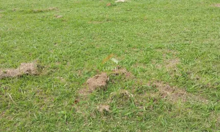Terreno em condomínio fechado à venda na alameda itajubá, 820, villa lombarda, valinhos por r$ 871.250