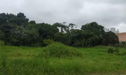 Terreno à venda na Rua Vereador Jacob Knabben da Silva, 2222, Pagani, Palhoça, 6732 m2 por R$ 6.740.000