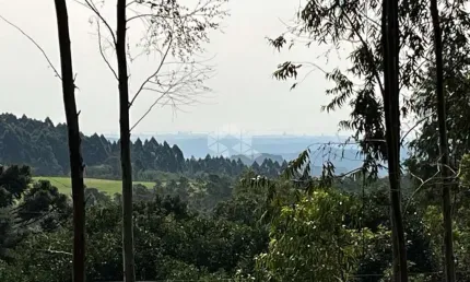 Chácara / sítio à venda na Rua Antônio Schoeler, 111, Linha Imperial, Nova Petrópolis