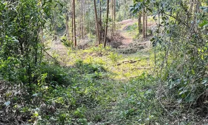 Chácara / sítio à venda na Rua Antônio Schoeler, 111, Linha Imperial, Nova Petrópolis
