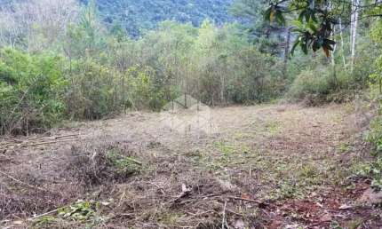 Chácara / sítio à venda na Linha Riachuelo, 100, Linha Brasil, Nova Petrópolis