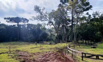 Chácara / sítio à venda na Antonio Schoeller, 1001, Linha Imperial, Nova Petrópolis