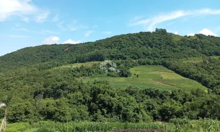 Chácara / sítio à venda na Ahmann, 21, Zona Rural, Nova Petrópolis