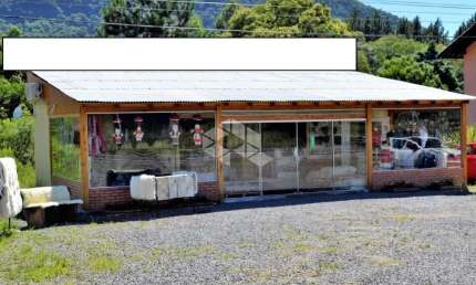 Chácara / sítio à venda na Rs 235, 1, Linha Araripe, Nova Petrópolis